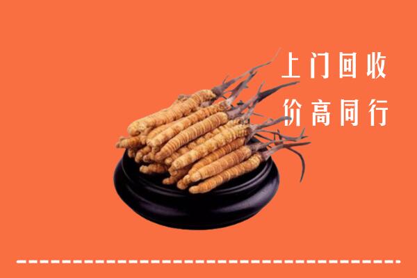 高价求购：南阳市方城县回收散虫草