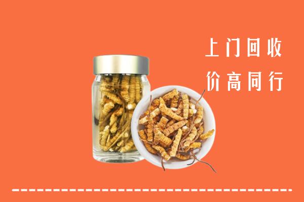 南阳市方城县回收冬虫夏草